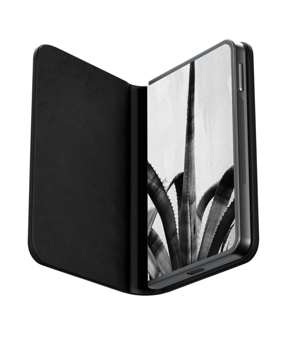 Ledger Stax customizable lock screen display