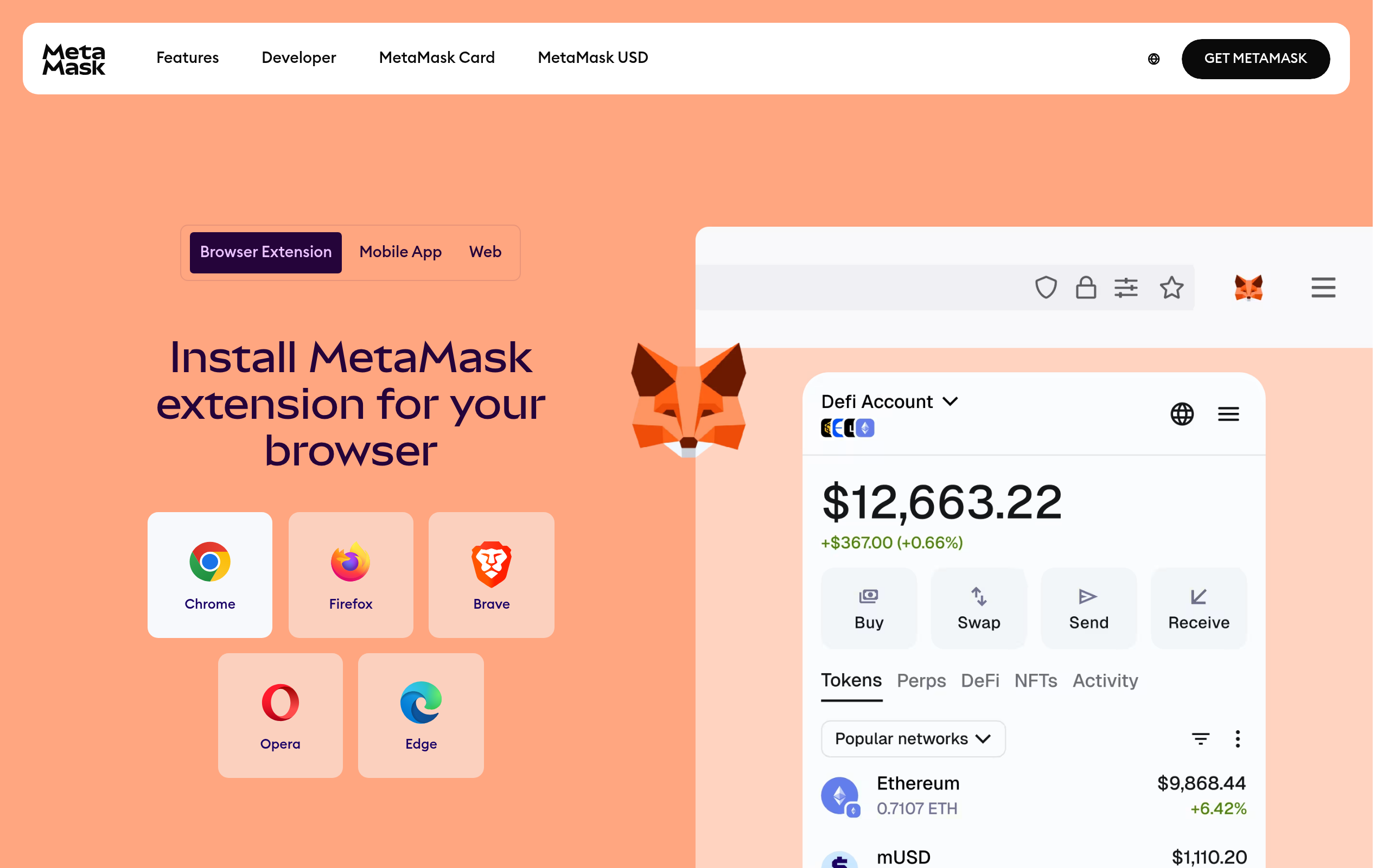 MetaMask image