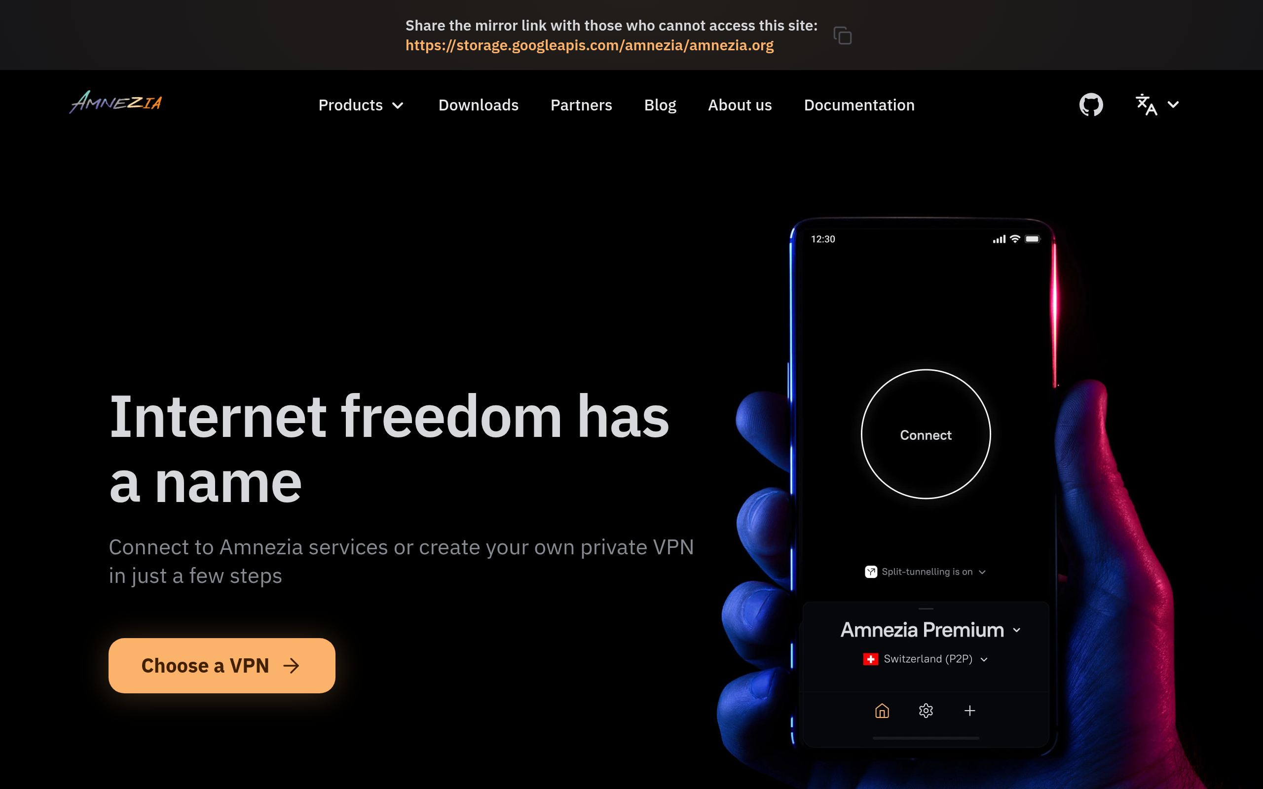 Amnezia VPN image